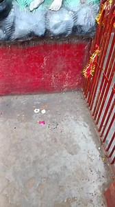 2M views · 277K reactions | Follow me.... .Ten Unknown Facts About...