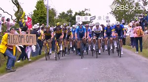 TDF Retro: Fan causes huge crash in 2021