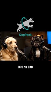 Finders keepers bro 😎 | DogPack