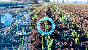 What is Computer Vision? | Insight from Our CV Experts