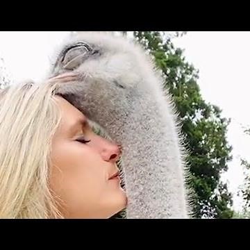 Animals and Humans Sharing a Deep Connection