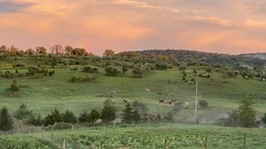 62 reactions · 8 comments | My 360° view from the top of the knoll....