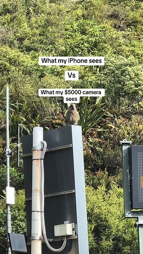 The quality diffrence is nuts😱😍 - - #fyp #viral #tiktok #instagram