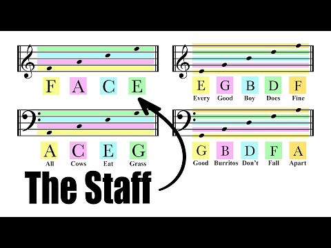 How To Read Notes On The Staff | EASY | Music Theory Tutorial