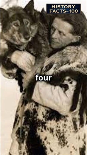 Epic Story of Balto: The Heroic Sled Dog