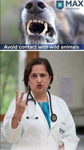 What are 3 ways to prevent rabies in humans? | Max Hospital