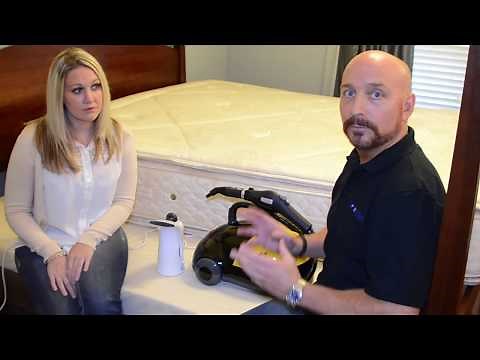 How to Get Rid of Bed Bugs in 4 Easy Steps | Natural Bed Bug Sprays & Treatments Explained!