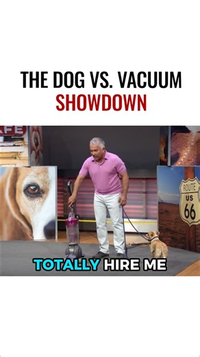Does your dog attack the vacuum in panic? With the right steps, you can turn that fear into trust. ¿Tu perro ataca la aspiradora con pánico? 🌀 Con los pasos correctos, puedes transformar ese miedo en confianza. | Cesar Millan
