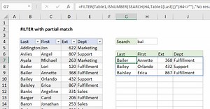 FILTER with partial match