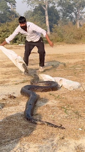 बुलंदशहर में निकला पहली बार एनाकोंडा😱😮🐉