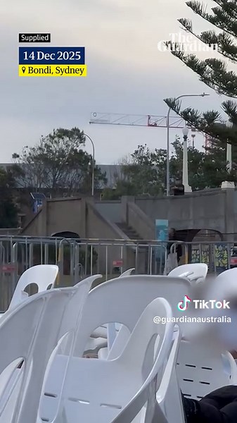 Video fimed during the Bondi shooting on Sunday afternoon has captured audio of a woman comforting a child she didn't know. The woman – Jessica Rozen – told Guardian Australia she was searching desperately for her three-year-old son as the shots rang out at Bondi beach on Sunday. 'I got you, I got you,' Rozen repeats. Rozen had attended the Chanukah by the Sea event with her family when the terrorist attack began that evening, bringing a terrifying end to the day’s Jewish celebration of light. H