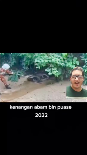 Can Reticulated Pythons Eat Humans? Exploring the Truth Behind the Myth