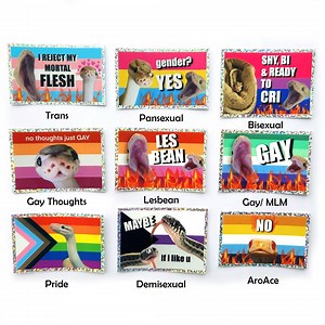 Pride Ball Python Snake Sticker & Lesbian Sticker - Etsy