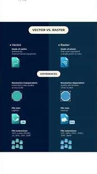 Raster vs Vector | Spot the difference #graphicdesign #education #shortsfeed #shorts #viral