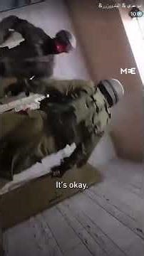 Palestinian TikToker Iyad Banat beaten and arrested during live-stream