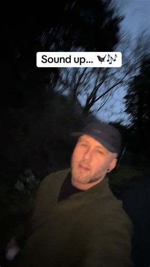 Birdsong, ah my anti depressant honestly. For someone who gets that seasonal affective disorder or seasonal depression every other year, during the winter months, especially after christmas, bird song is like an anti depressant for me. Even though we are 2 months off or so until official springtime, you can see signs of it everywhere. Snowdrops in flower, daffodil shoots showing themselves, buds on the trees and the early morning bird song. For me, a reason to be hopeful, and i’m all for it! Ear