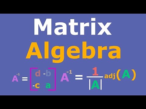 Matrix Algebra Full Course | Operations | Gauss-Jordan | Inverses | Cramer's Rule