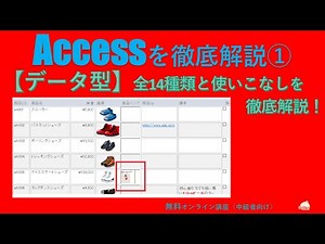 Accessを徹底解説講座①/【データ型】全14種類と使いこなし（Access基礎）