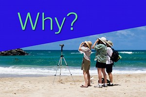 Why Watch Birds? - The many benefits of birdwatching explained