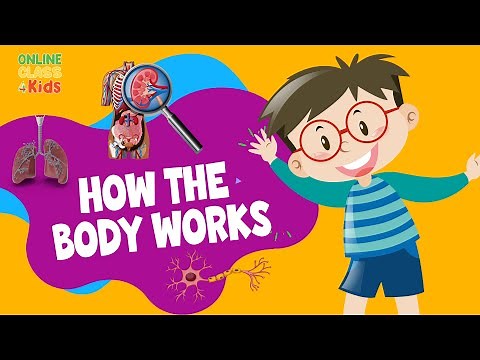 Human Body 101 for Kids | Human Body Systems for Kids | How the Body Works | Science for Kids