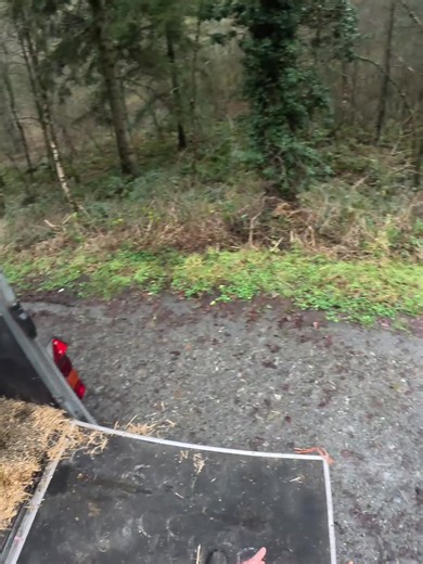 Horse Loading After a Fabulous Ride