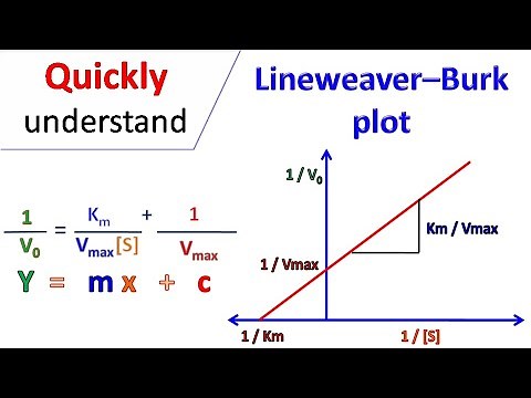 Lineweaver Burk plot
