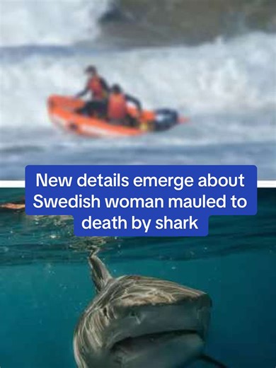 The beach has been closed as experts from the Department of Primary Industries work to establish the species of shark involved. The department tagged and released a 2.6m tiger shark at Burgess Beach in Forster, 70km from Kylies Beach, at about 10.50am on Wednesday. A police spokesperson confirmed drum lines may be deployed in a bid to catch the shark responsible for Thursday's attack. Surrounding beaches will be closed for at least 24 hours while Surf Life Saving NSW deploys drones to locate the