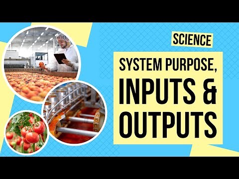 System Purpose, Inputs, and Outputs | Science Lesson