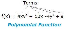 Polynomial Function: Definition, Examples, Degrees