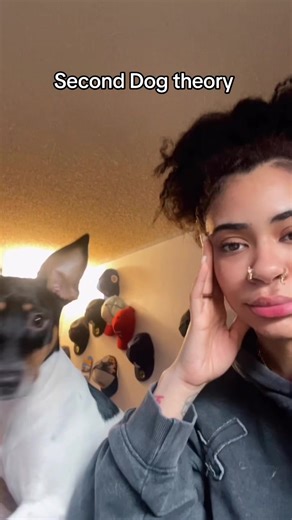 This is a scientific fact😭 #dogsoftiktok | dogs