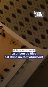 314K views · 2.3K reactions |  Moisissures, cafards, surpopulation... La prison de Nice est dans un état alarmant ! ▶️ Le taux d’occupation du quartier des hommes atteint 195 %, soit presque le double de sa capacité. Cela entraîne des conséquences directes sur les conditions de détention : certains détenus sont contraints de dormir sur des matelas posés à même le sol, faute de moyens suffisants. | TF1 INFO | Facebook