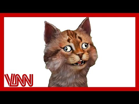 Gravycatman Just Got EXPOSED...