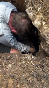 1.6M views · 27K reactions | Giant Crystal Discovery! What an honour...