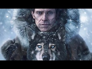 Top 5 Best Dog Movies That Stays in Our Heart