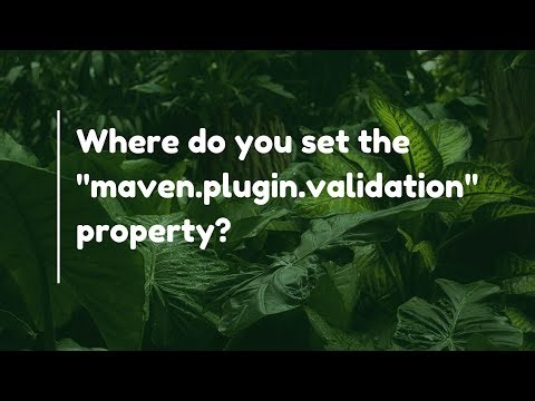 Where do you set the "maven.plugin.validation" property?