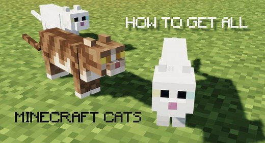 How To Get ALL Minecraft Cats And What They Do (Updated for 1.21)