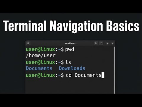 Ubuntu CLI Basics. How to Navigate the File System