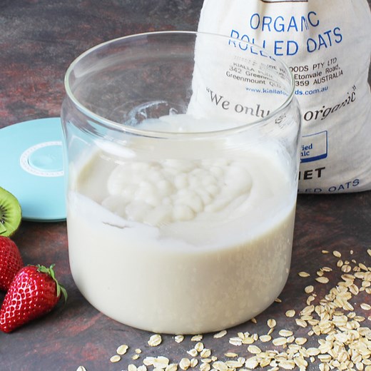 Homemade oat milk yogurt