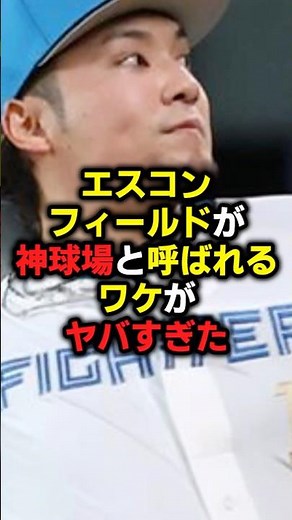 エスワンフィールドが神球場と呼ばれるわけがやばすぎた#野球 #野球解説