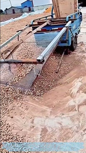 Harnessing Wheel Power: The Oscillating Sieve for Peanut Harvest