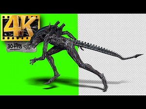 Alien Xenomorph (part 1) | Monster Green Screen - Footage 4K