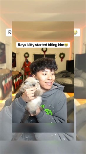 Ray’s kitten starts biting him 😂🐱 #shorts #cute #funny #kitten