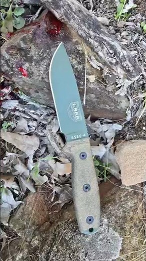 esee 4 every day carry