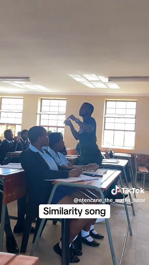 Understanding Proving in Euclidean Geometry