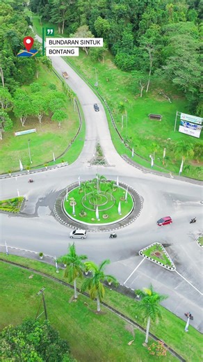 Keindahan Bontang: Pohon Peneduh di Tengah Aktivitas Industri