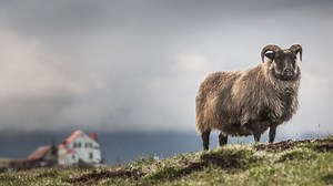 Photoshop 2022 Essential Training Online Class | LinkedIn Learning, formerly Lynda.com