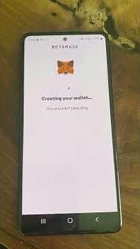 How to Set Up Your MetaMask Wallet for Global Network Smart Contract