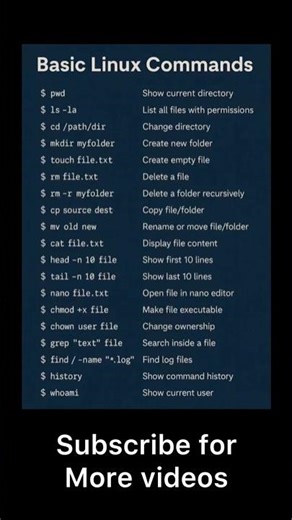 Linux Commands Every Beginner MUST Know! ⚡ (Super Fast Tutorial)
