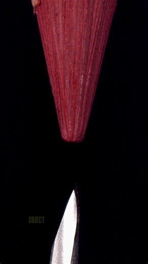 Spot the Glitch Challenge