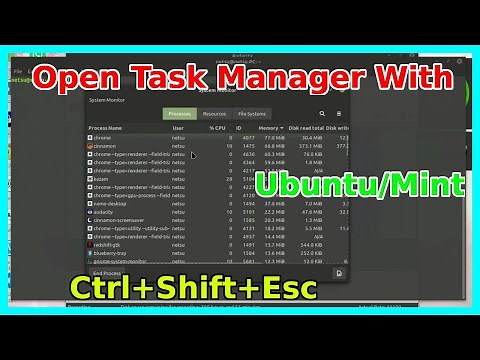 How to use Task Manager on Linux Mint (Ctrl+Shift+Esc)